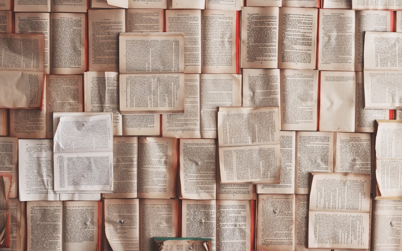 Sbocchi lavorativi laurea in lingue e mediazione linguistica